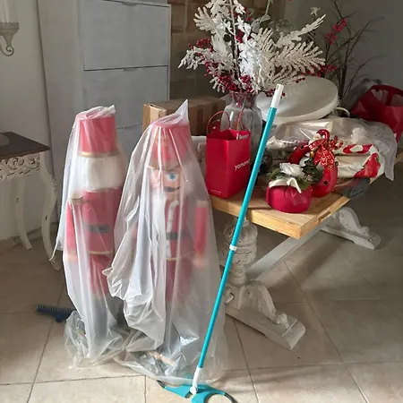 Laura בולוניה